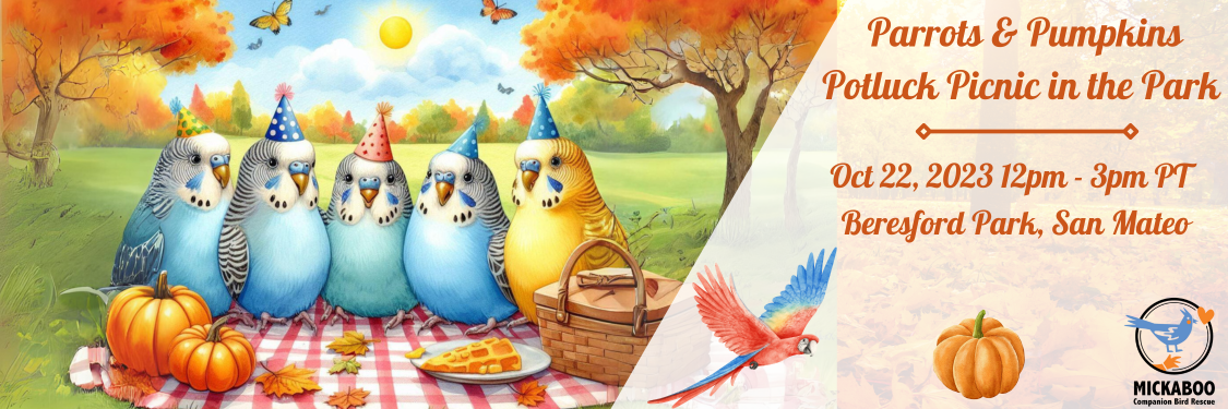 Parrots & Pumpkin Picnic Potluck at the Park